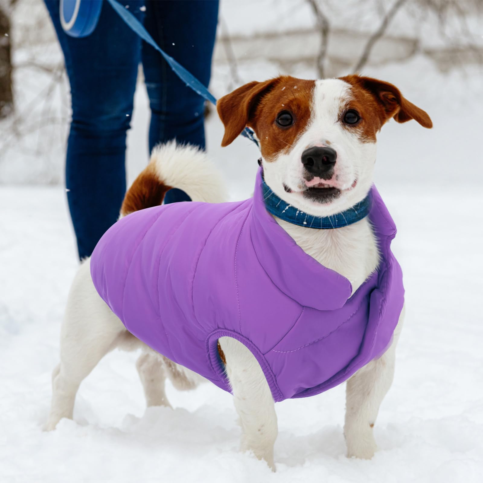 ASENKU Windproof & Waterproof Dog Winter Coat - Fleece Lined Warm Dog Jacket Vest for Small Medium Large Dogs - Cold Weather Pet Apparel (Purple, Size L) - Perfect for Outdoor Walks, Hiking & Winter Adventures