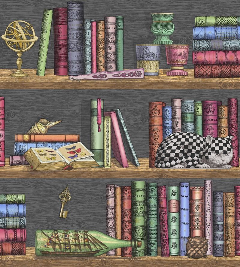 Cole & Son Multi-Color Library Pattern Wallpaper - Premium Peel & Stick Wallpaper for Living Room, Bedroom, Office Decor - Vintage Bookshelf Design Removable Wallpaper