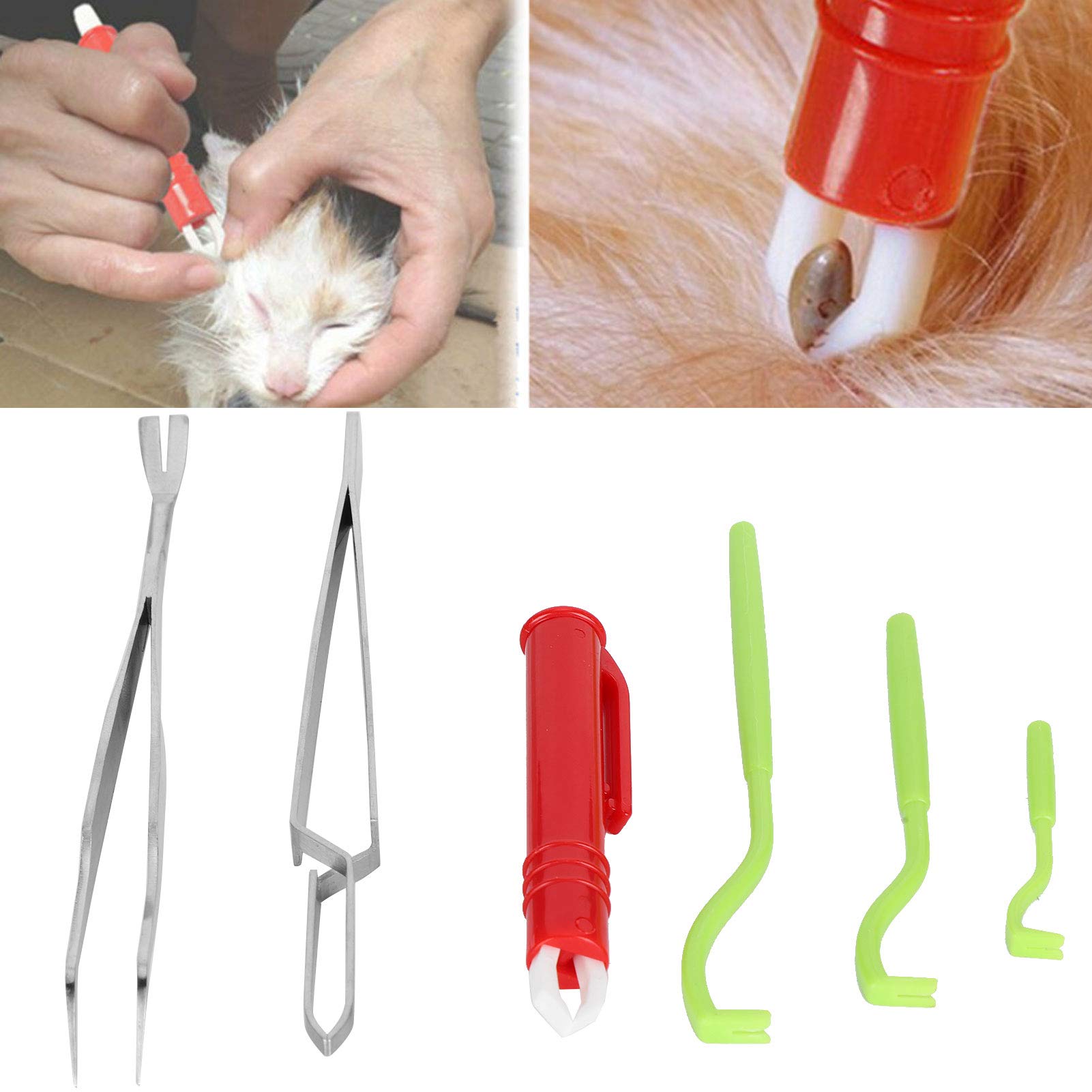 6-Piece Tick Removal Tool Kit for Dogs & Cats - Stainless Steel Tick Remover & Tweezers for Safe Pet Grooming & Outdoor Adventures