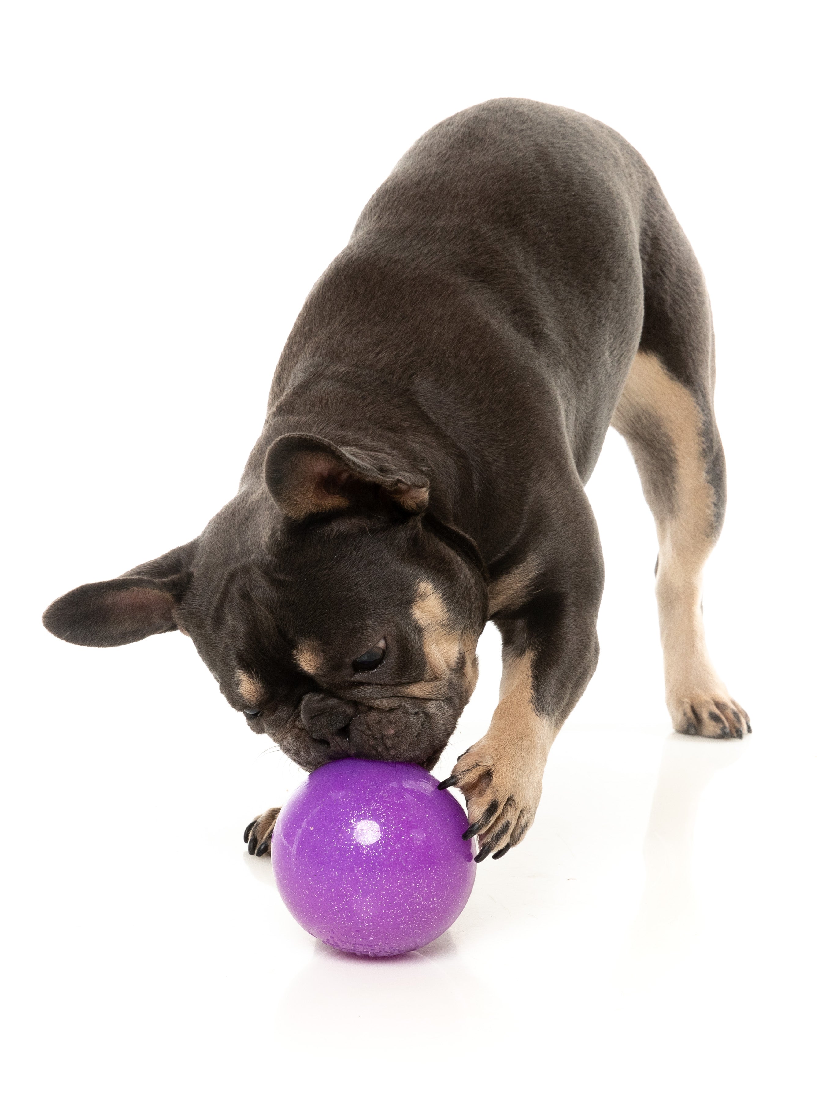 Fuzzyard Interactive Dog Chew Toy with Treat Dispenser - Truth Tellin' Treat Ball for Puppy Training & Mental Stimulation - Perfect for Boredom Relief & Playtime Fun