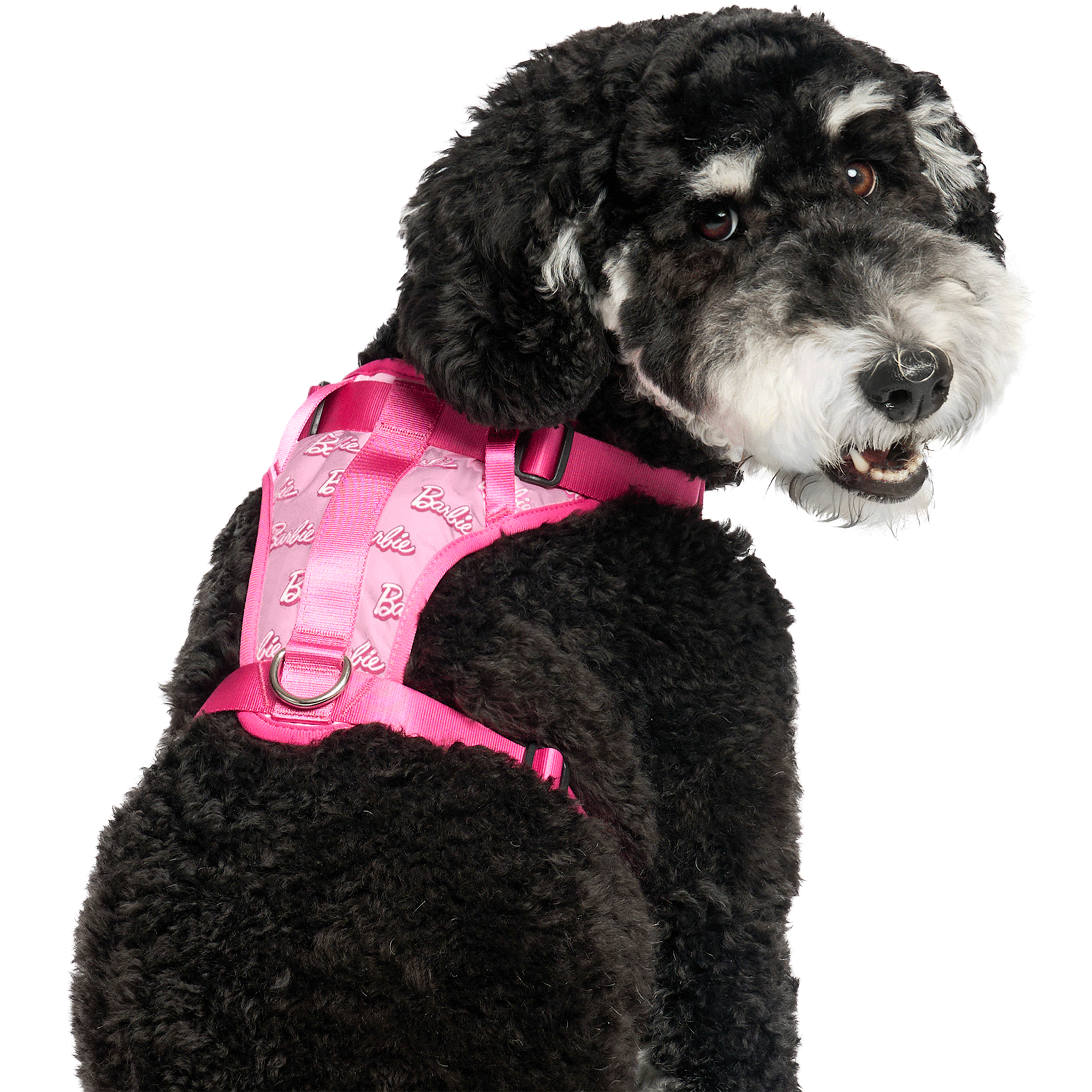Barbie™ Everything Harness with Logo Print - Adjustable Pet Harness for Small Dogs & Cats - Perfect for Walking, Training & Outdoor Adventures