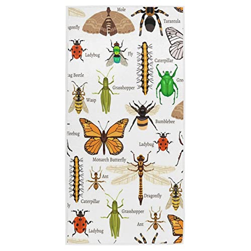 Insects
