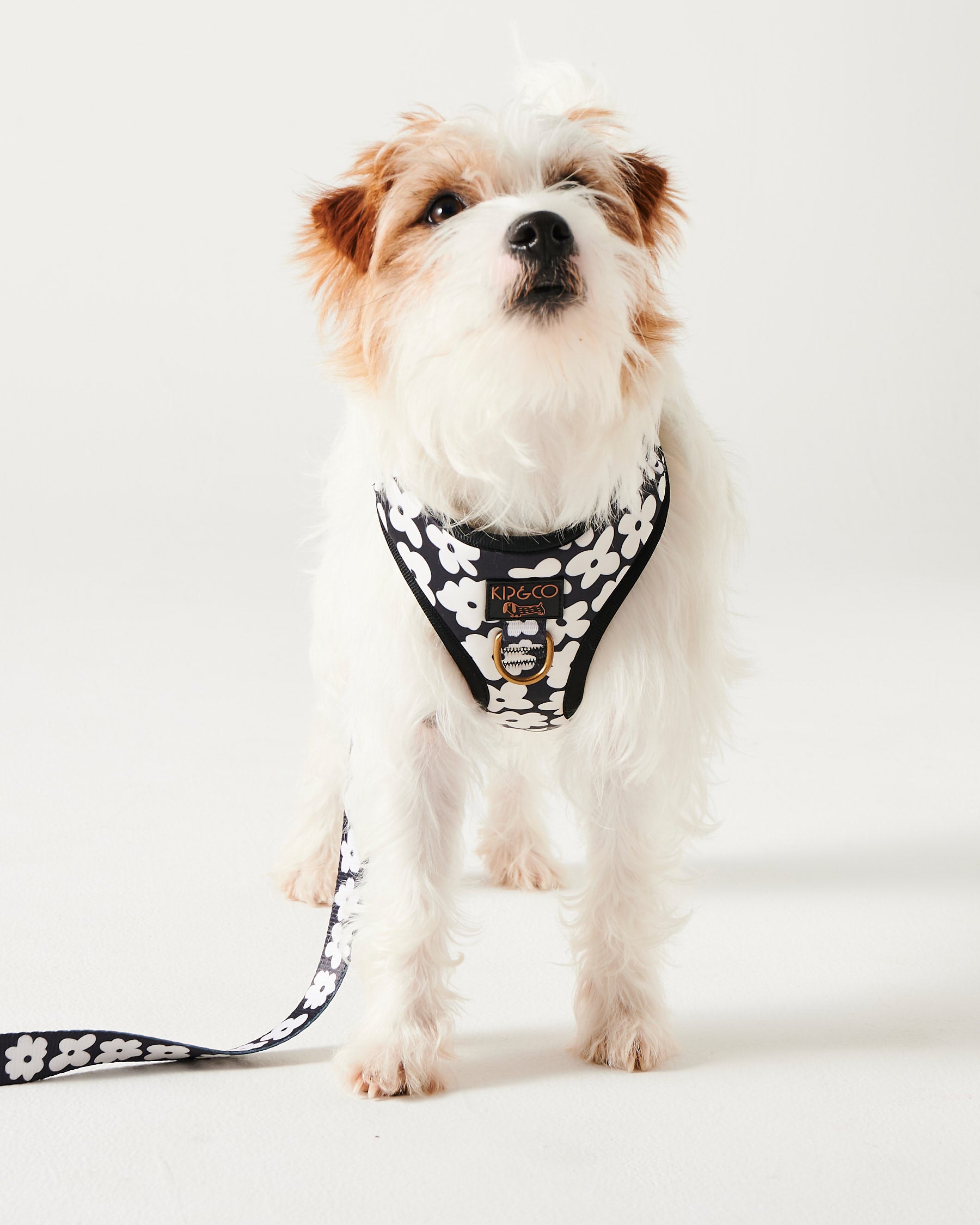 Premium Flower Print Dog Harness - Adjustable & Breathable Pet Vest for Small & Medium Dogs - Perfect for Walks, Hiking & Outdoor Adventures