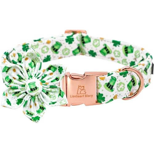 B:Lucky Clover
