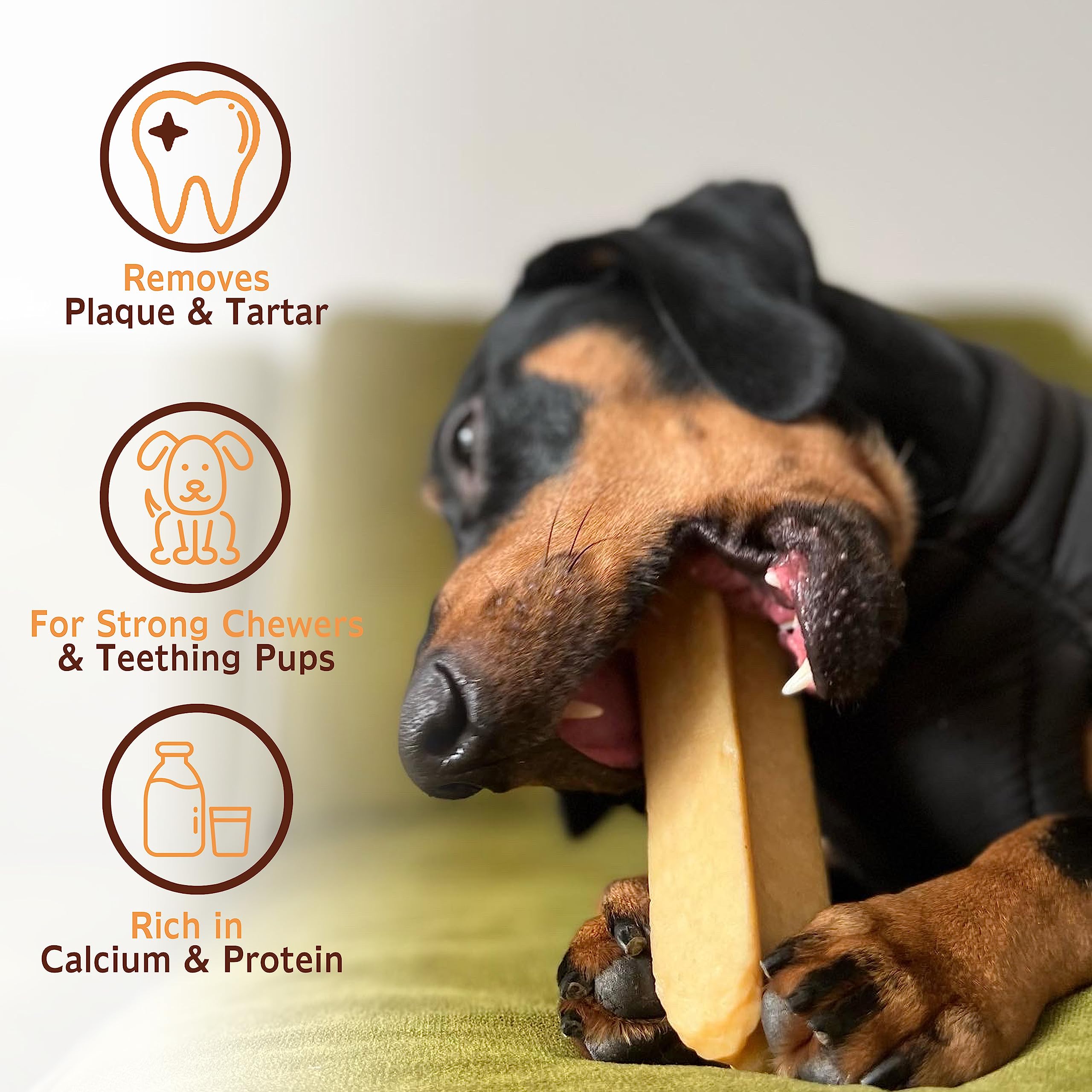 Treaby Himalayan Yak Chews for Dogs & Puppies - Natural Yak Milk Dental Sticks for Teeth Cleaning & Bone Health - Long Lasting Dog Treats for Aggressive Chewers - Perfect for Training, Teething & Dental Care