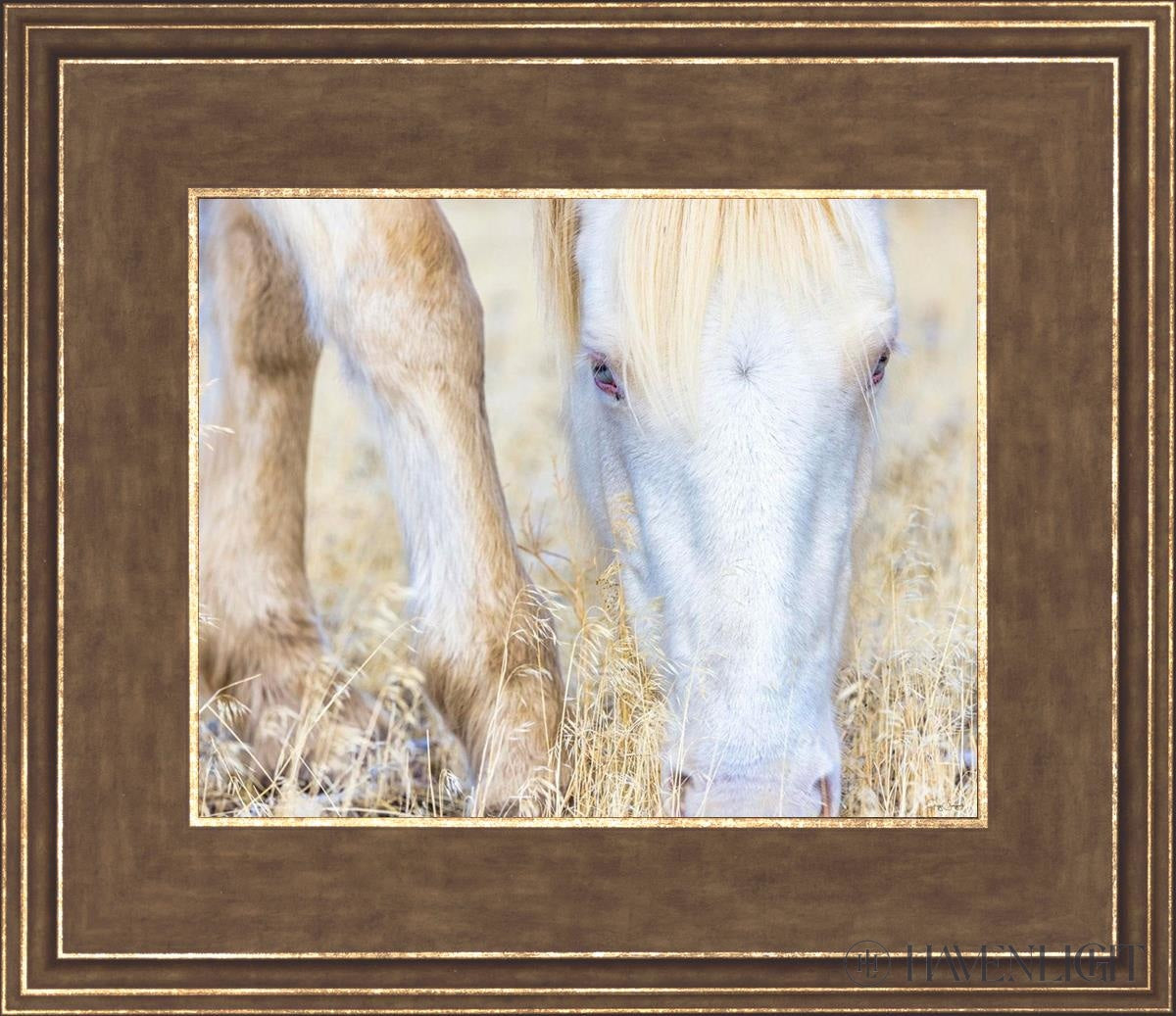 Dry Grass by Greg Sargent - Premium Handcrafted Home Decor for Rustic & Farmhouse Style - Perfect for Wall Art, Shelf Displays & Cozy Living Room Decor