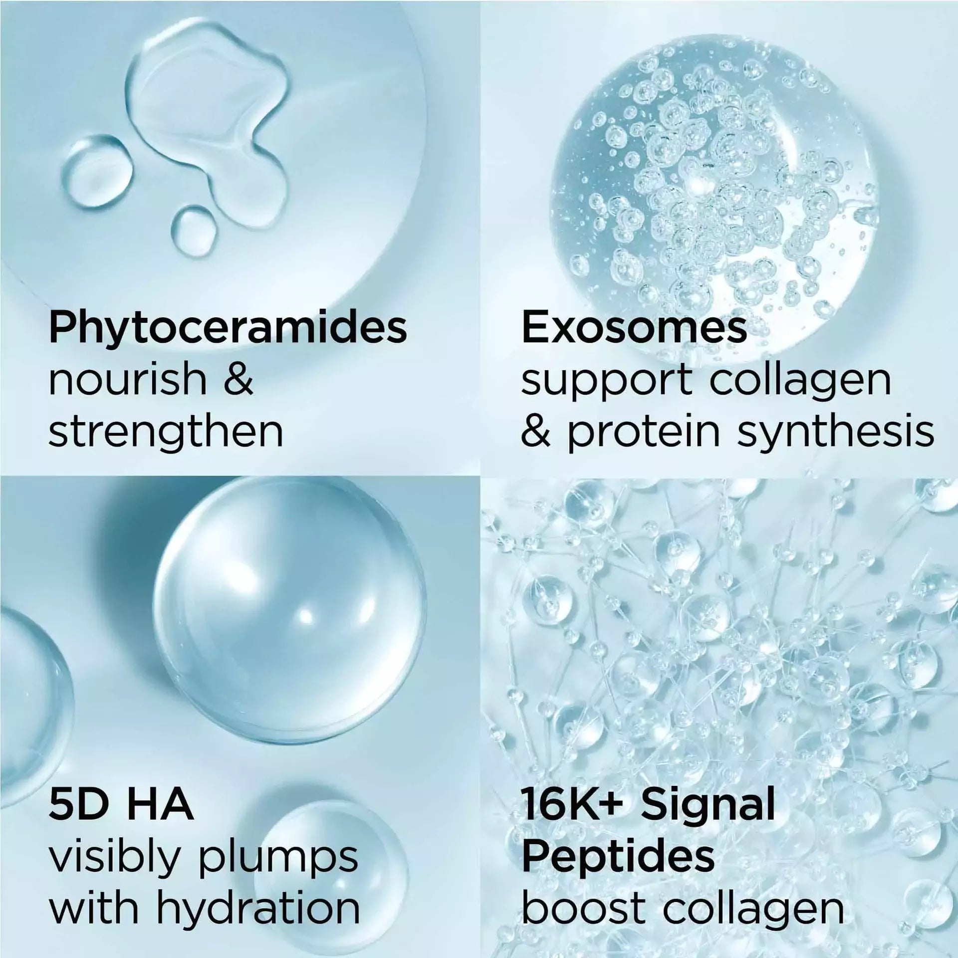 Hydrating Hyaluronic Acid & Peptides Ceramide Moisturizing Cream for Dry Skin - Plump & Glow for Day & Night Skincare Routine
