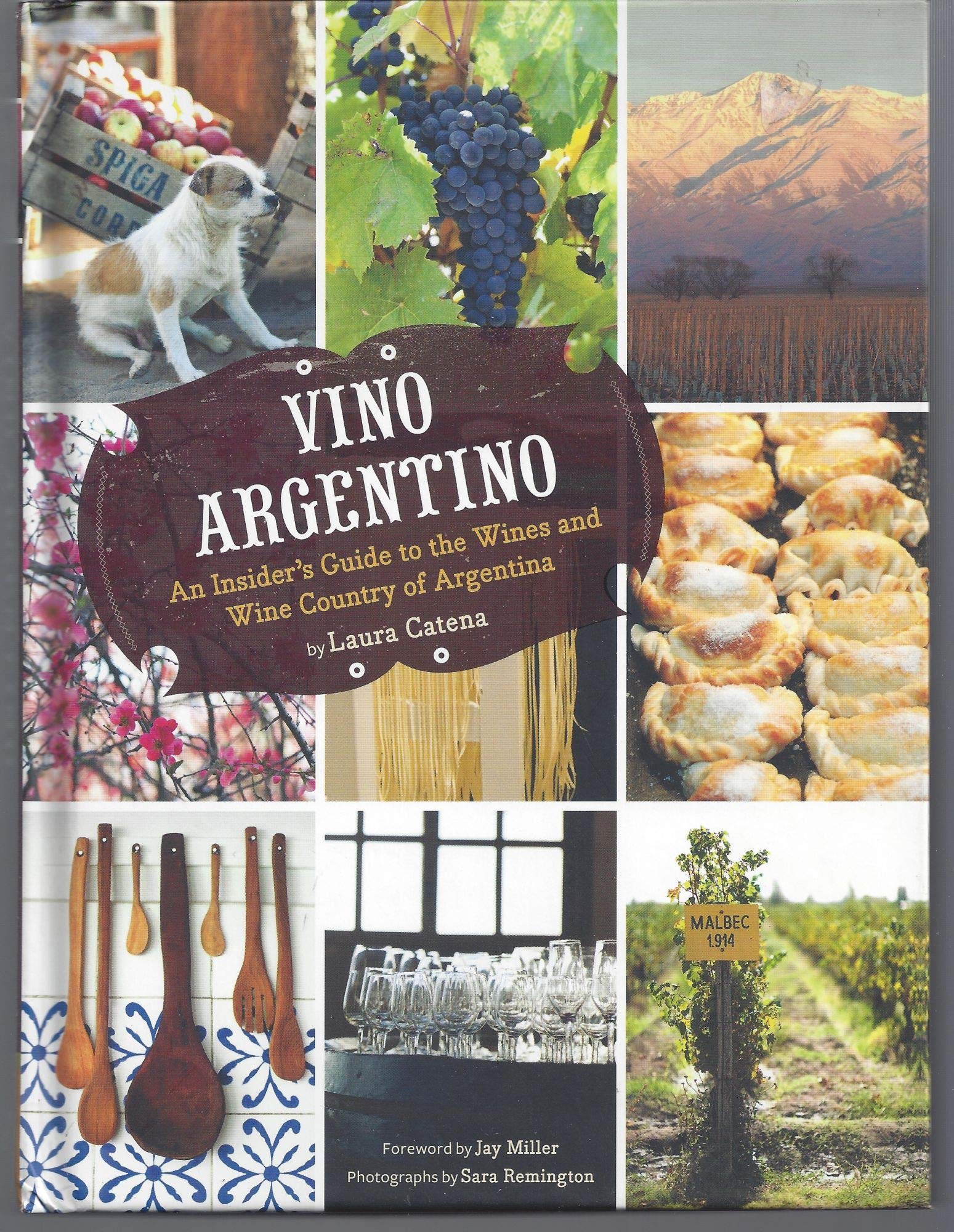 Vino Argentino: The Ultimate Guide to Argentina's Best Wines & Wine Regions | Perfect for Wine Lovers & Travel Enthusiasts