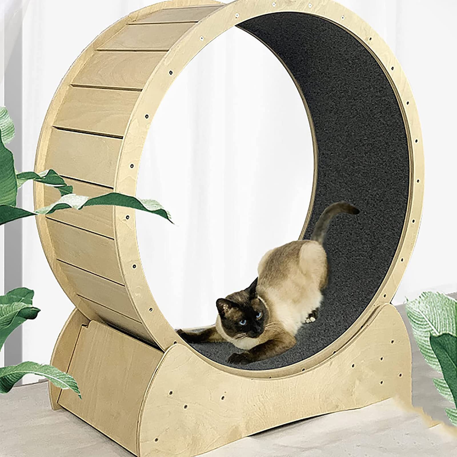 BUYAEAR Indoor Cat Exercise Wheel - Automatic Cat Toy & Scratch Board Treadmill for Physical Activity - Solid Wood Interactive Pet Toy (113cm) - Perfect for Indoor Play & Reducing Boredom in Small Spaces