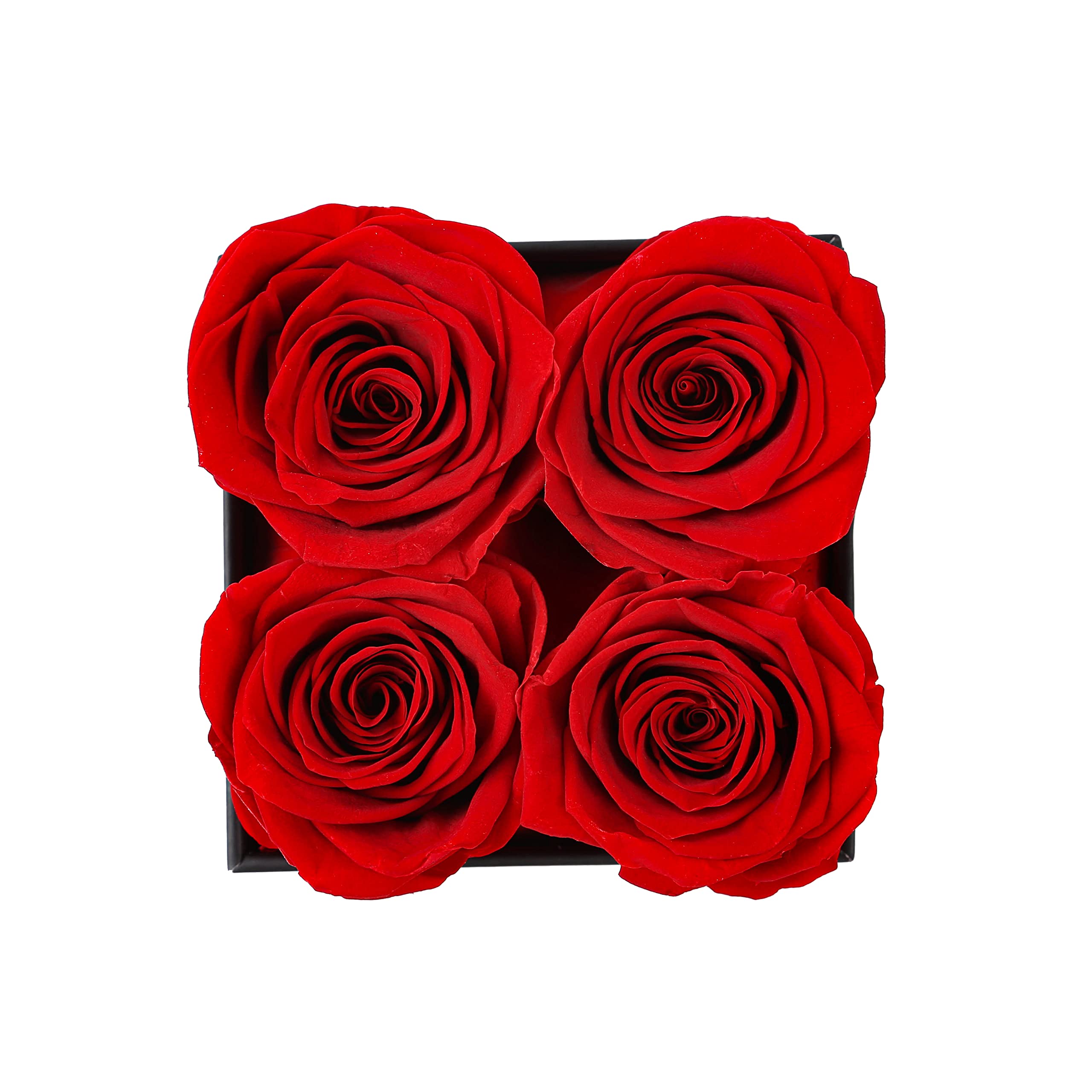 Forever Roses That Last 1 Year - Real Preserved Roses in Elegant Black Box (4PCS) | Perfect Mother's Day Gift, Anniversary, or Romantic Surprise - Prime Delivery Available