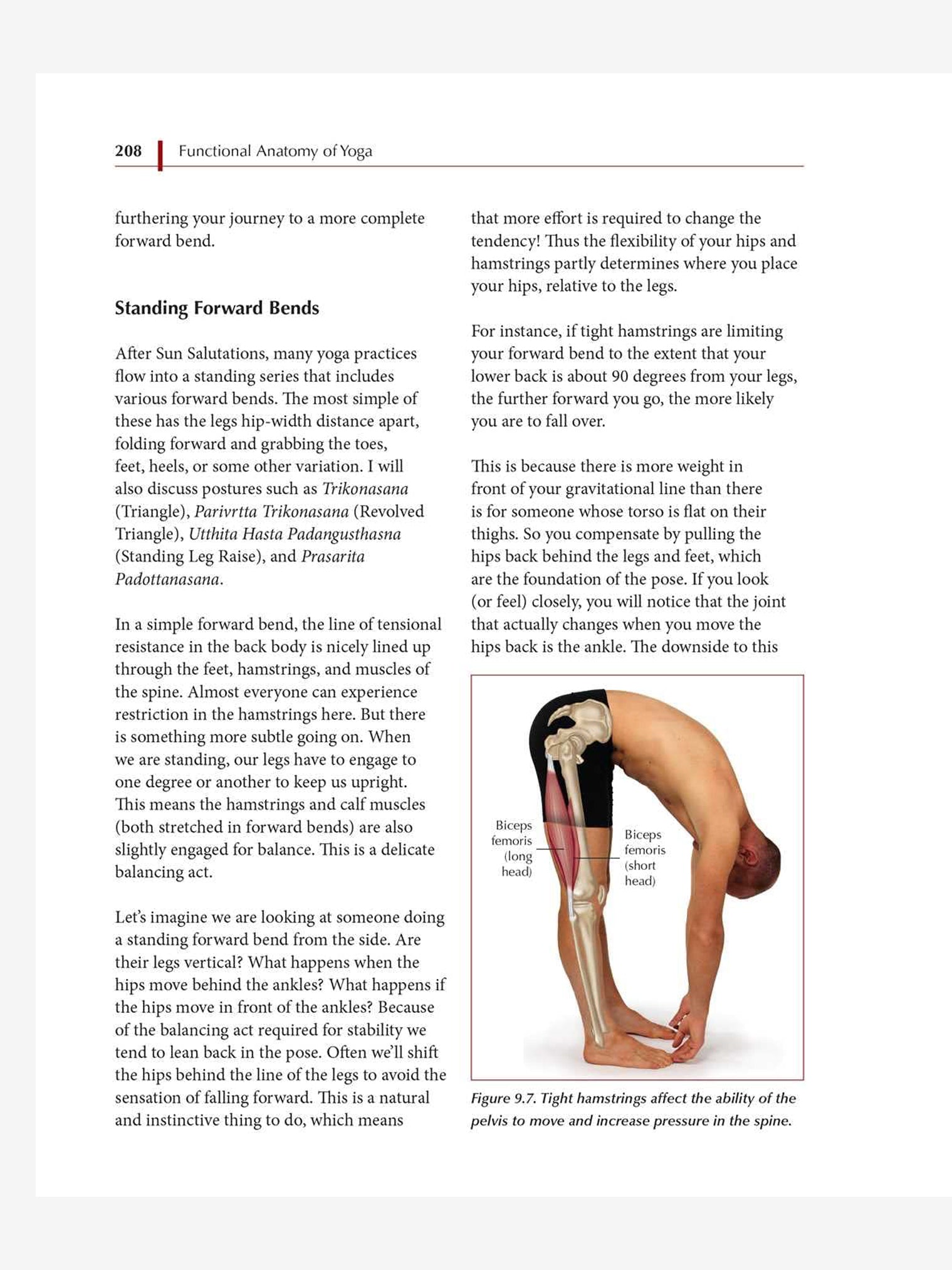 Functional Anatomy of Yoga: A Guide for Yoga Teachers and Students - Enhance Your Practice with Detailed Muscle and Movement Analysis | Perfect for Yoga Studios, Home Practice, and Teacher Training