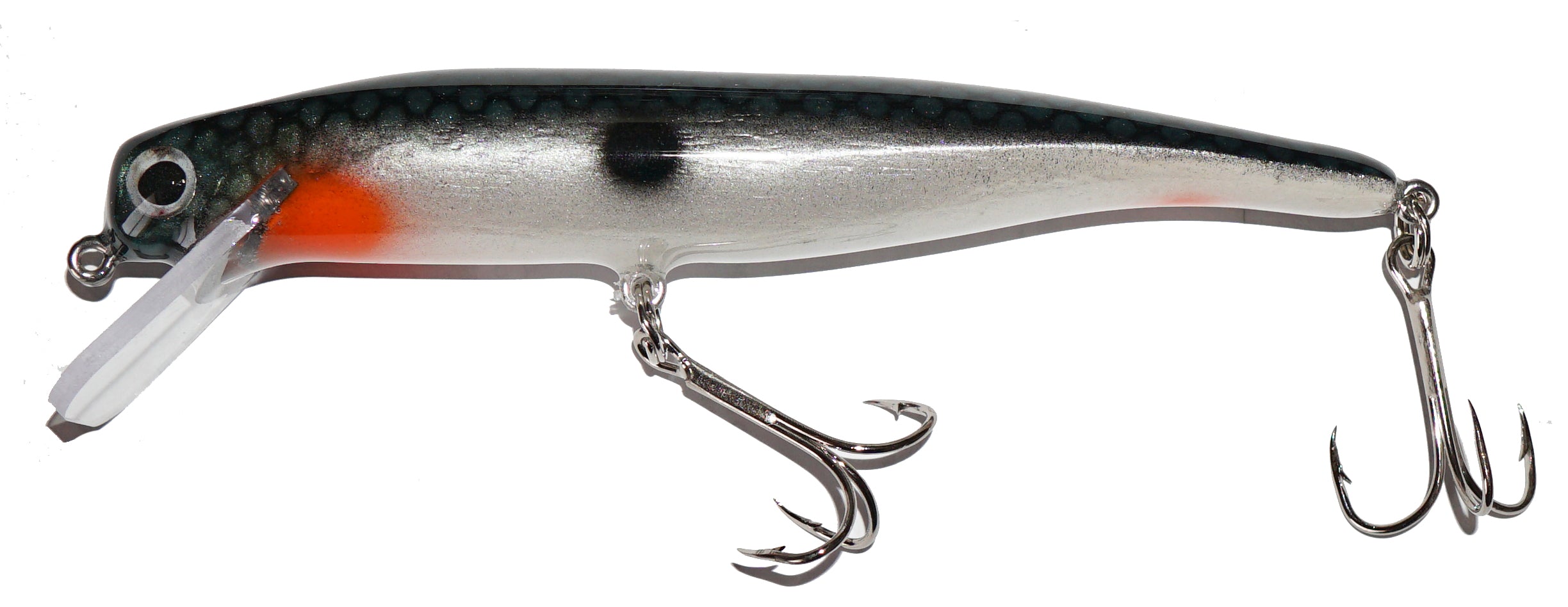Tenn. Shad