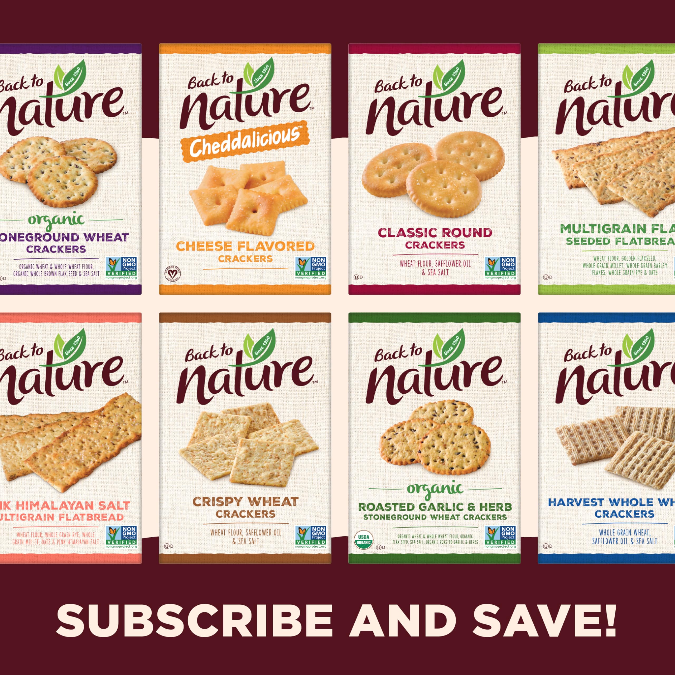 Organic Wheat Crackers - Dairy Free, Non-GMO, Sea Salt Snacks for Picnics & Office