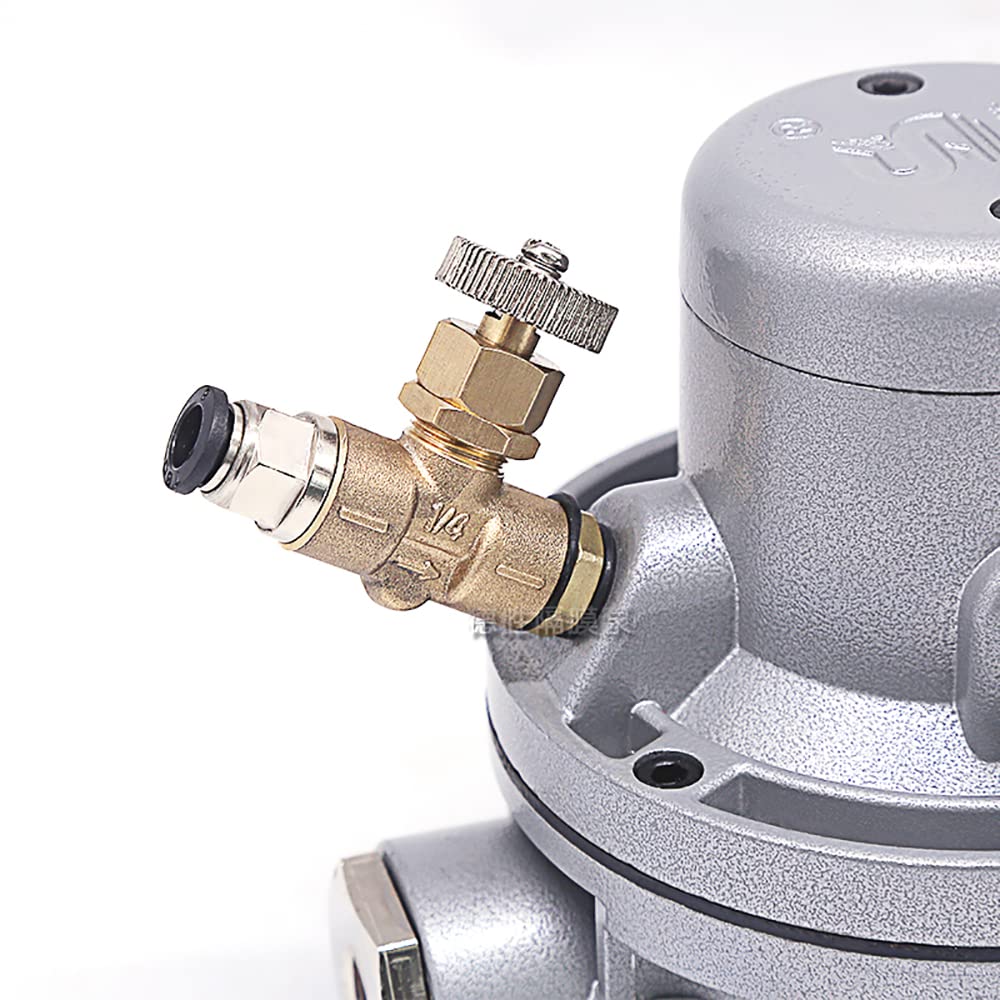 iDili Single Way Pneumatic Diaphragm Pump 15L/MIN for Water-Based Ink Printing Machine - G3/8 Port, 0.2-0.5Mpa Pressure - Ideal for Industrial Printing, Ink Transfer & Fluid Handling Applications