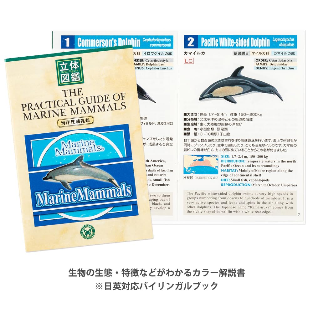 Authentic Marine Mammal Figurine Set - Lifelike Dolphin, Whale & Seal Collectibles for Kids & Adults | Perfect for Educational Play, Ocean-Themed Decor & Gift Giving