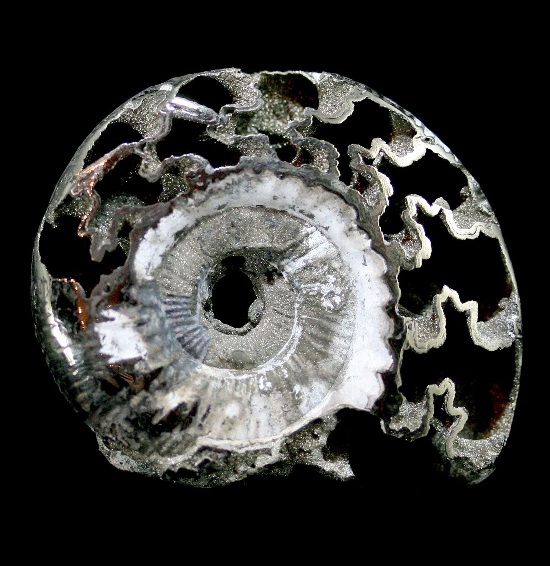 Small Pyritized Ammonite Fossil - Natural Golden Mineral Specimen for Collectors, Home Decor & Gifts | Perfect for Geology Enthusiasts & Unique Interior Design
