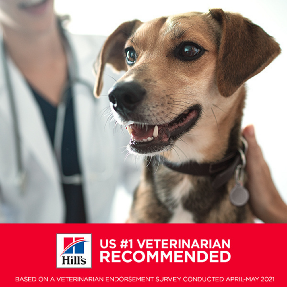 Hill's Science Diet Sensitive Stomach & Skin Adult Small Bites Chicken Recipe Dry Dog Food - Gentle Nutrition for Dogs with Sensitive Digestion & Skin Allergies - Perfect for Indoor & Outdoor Active Dogs