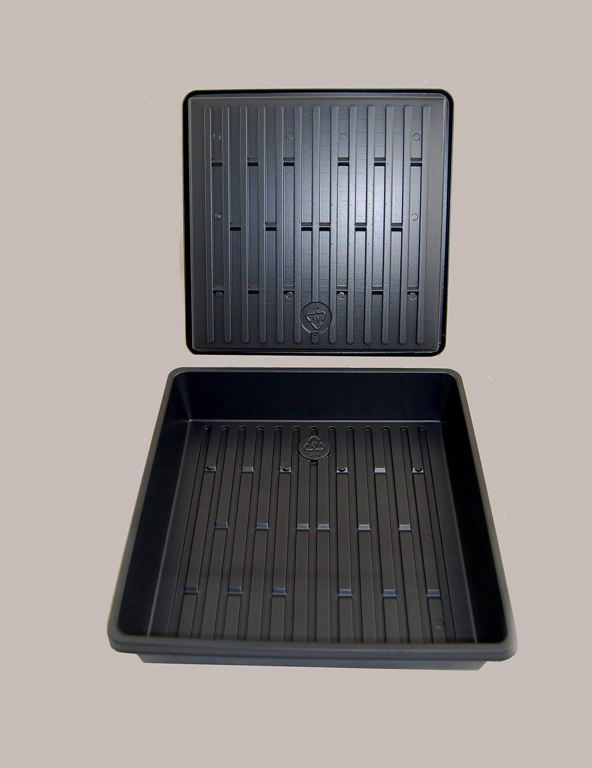 Organic Wheatgrass Growing Trays - 10 Pack, 10.5