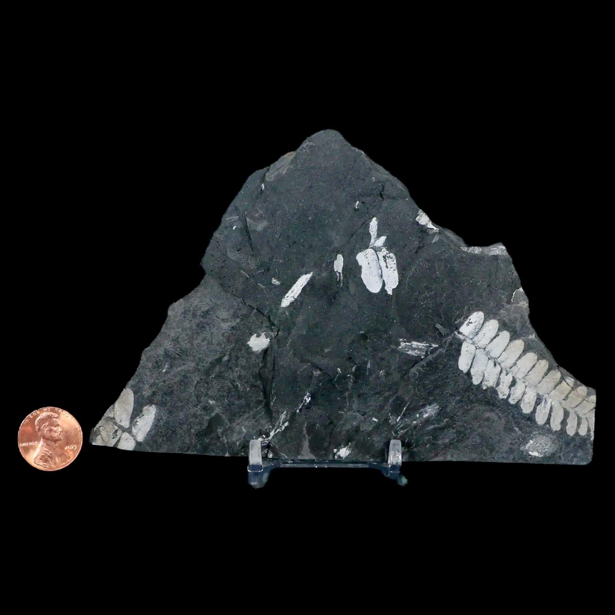 5.7