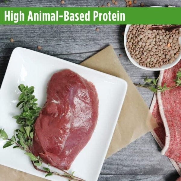 Nulo Freestyle Grain-Free Indoor Cat Food - High Protein Dry Cat Food for Adult Cats - Perfect for Indoor Cats with Sensitive Stomachs & Weight Management