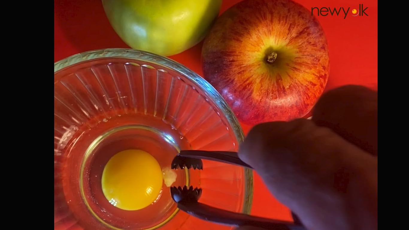 The Egg Tool: Essential Kitchen Tongs for Egg Chalaza Membrane and Shell Fragment Removal, Perfect for Chefs, Bakers, and Food Competitions, Ideal for Precise Egg Preparation in Professional and Home Kitchens
