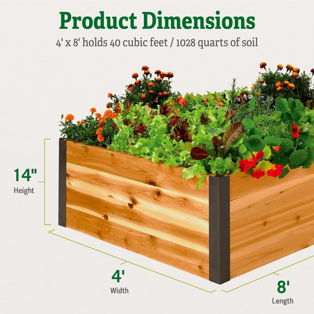 **Extra Deep Raised Garden Bed 4'x8'x14