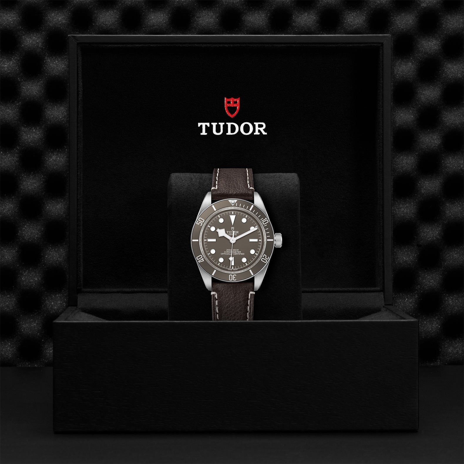 Tudor Black Bay 58 925 Silver Dive Watch - Luxury Swiss Automatic Diver for Men | Perfect for Professional Diving, Casual Wear & Special Occasions