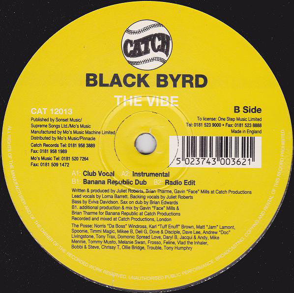 Black Byrd – The Vibe 12 Catch – CAT 12013 – Perfect for DJs, Music Producers & Vinyl Collectors – Great for Home Studios, Clubs & Music Production