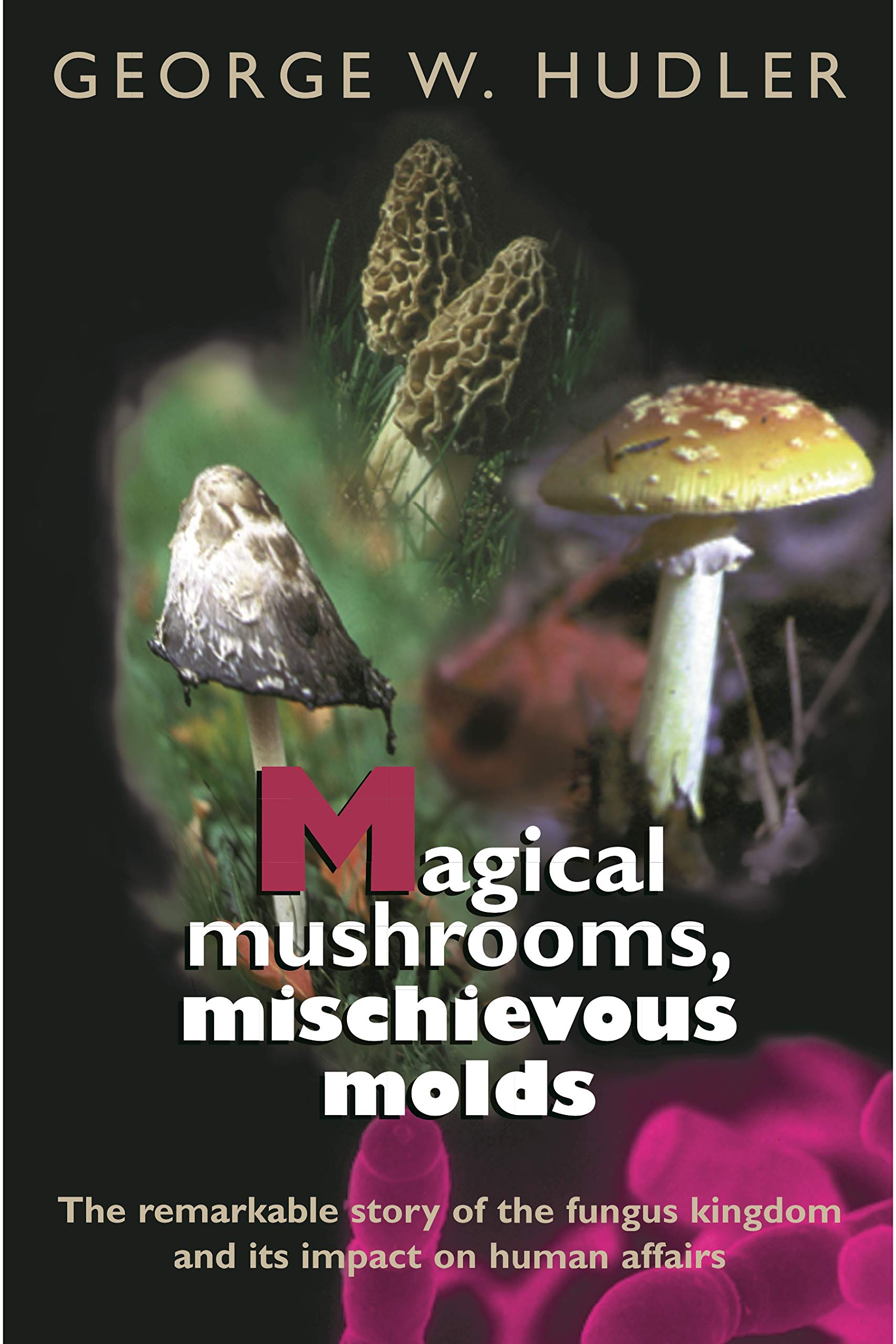 Magical Mushrooms and Mischievous Molds - Explore Fungi Wonders for Home Decor, Science Projects & Nature Lovers