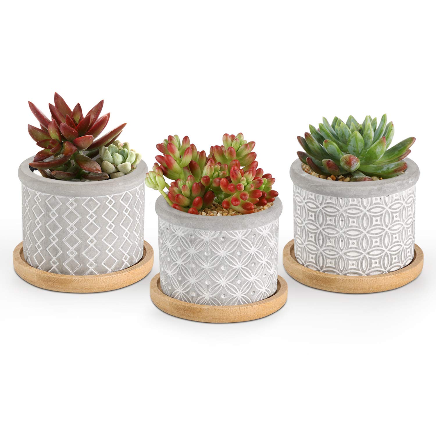 T4U 2.5 Inch Grey Cement Succulent Planter Pots with Bamboo Tray - Set of 3 Small Concrete Cactus & Herb Planters for Home, Office, Window Decor - Perfect for Gardening Gifts, Birthday Presents & Indoor Plant Displays