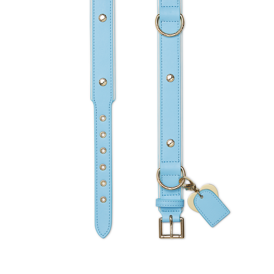 Light Blue & White Dog Collar - Adjustable, Reflective, Durable Pet Collar for Small, Medium & Large Dogs - Perfect for Walks, Training & Outdoor Adventures