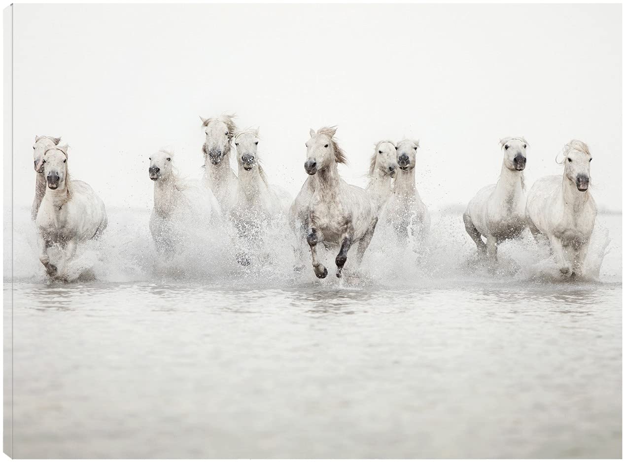 Stunning White Horses Fine Art Canvas Print by Irene Suchocki - 46x35 Inch Wall Decor for Living Room, Bedroom, Office & More - Ready to Hang - Perfect for Home, Office & Commercial Spaces