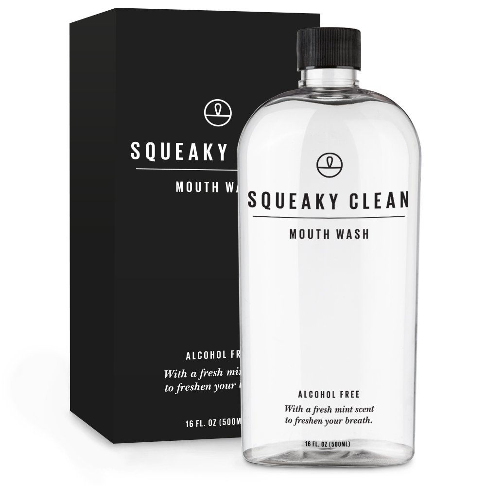 Alcohol-Free Mouthwash for Fresh Breath - 16 oz Squeaky Clean Oral Rinse with Cool Mint Flavor | Fights Bad Breath | Ideal for Daily Use, Travel & Post-Meal Freshness