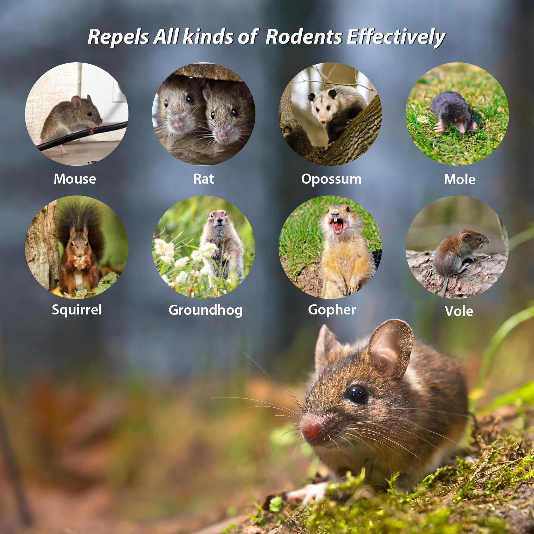 Natural Peppermint Oil Mouse Repellent Balls - 20 Pack Pet Safe Rodent Deterrent for Indoor & Outdoor Use - Keep Rats & Mice Away from House, Car Engine, RV, Garage & Chicken Coop - Non-Toxic Pest Control Solution for Home, Vehicles & Storage Areas