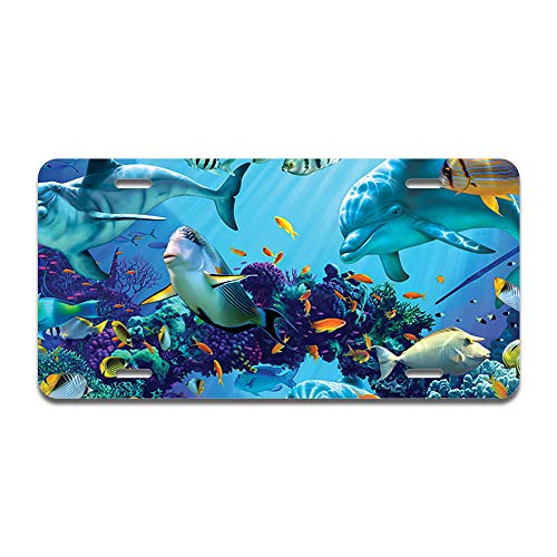 Ocean Friends