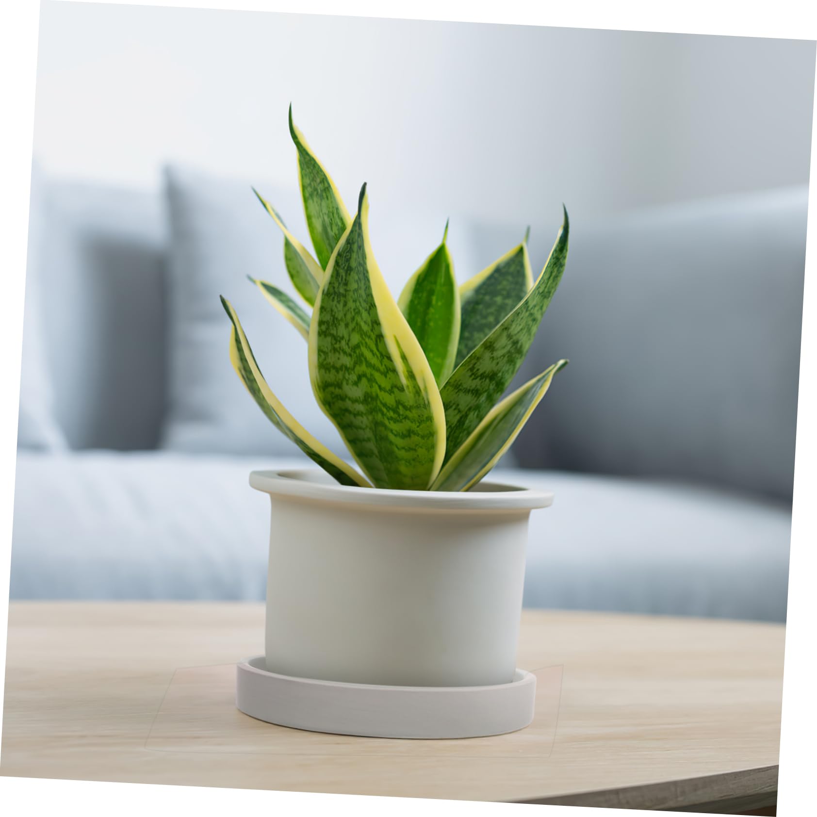 Cabilock 2-Pack Ceramic Plant Pot Trays - Round Indoor Flowerpot Saucers for Houseplants, Succulents, and Herbs | Perfect for Home Decor, Kitchen Countertops, and Balcony Gardening
