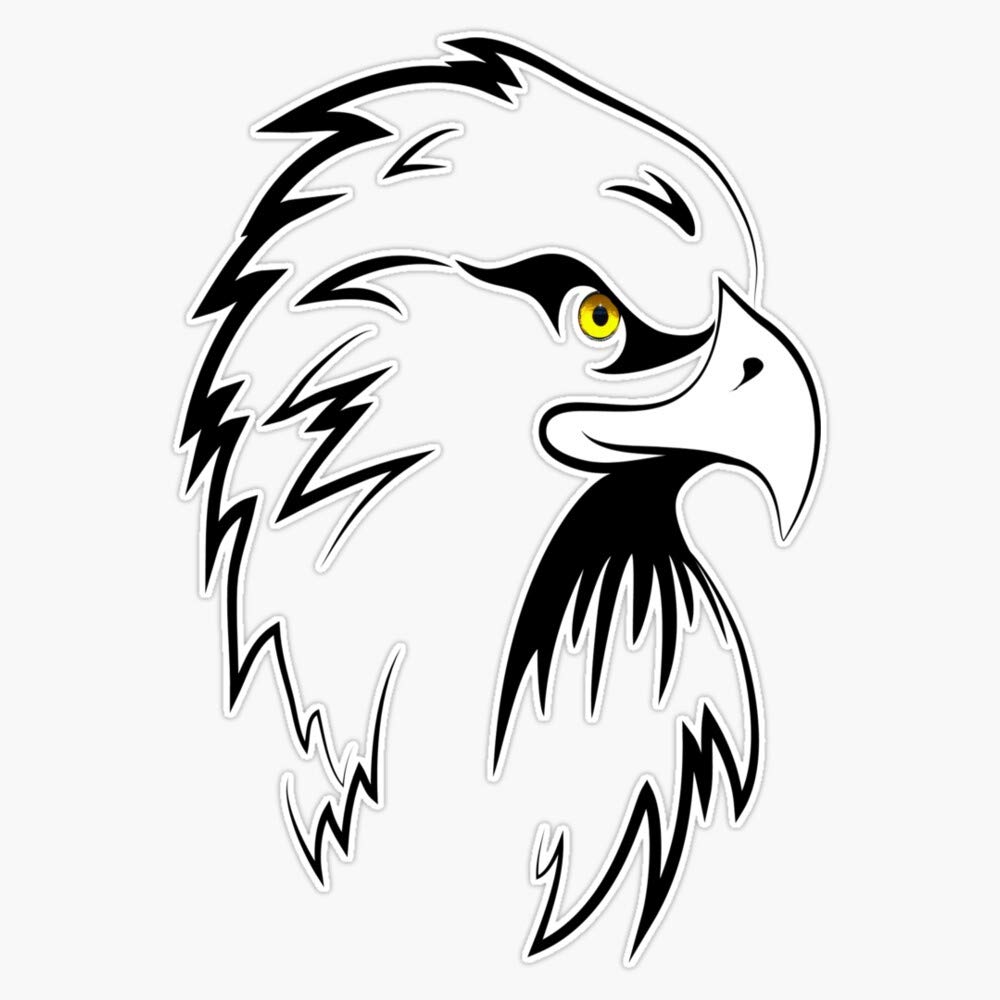 Falcon T-Shirt 2020 Shaheen Vinyl Stickers - Waterproof Decals for Cars, Laptops & Bumpers (5 Inch) - Perfect for Sports Fans, Car Enthusiasts & DIY Decorations