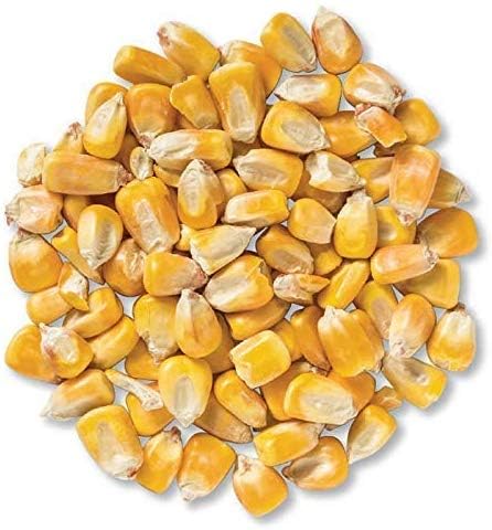 Bulk Whole Corn for Wildlife Feeding - 50 Pounds | High-Quality Deer & Bird Feed | Perfect for Hunting, Backyard Wildlife Attraction & Farm Use