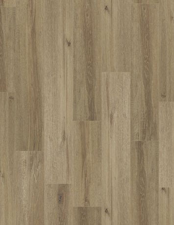Coretec Plus Grande Goldin Oak Luxury Vinyl Plank Flooring - 9