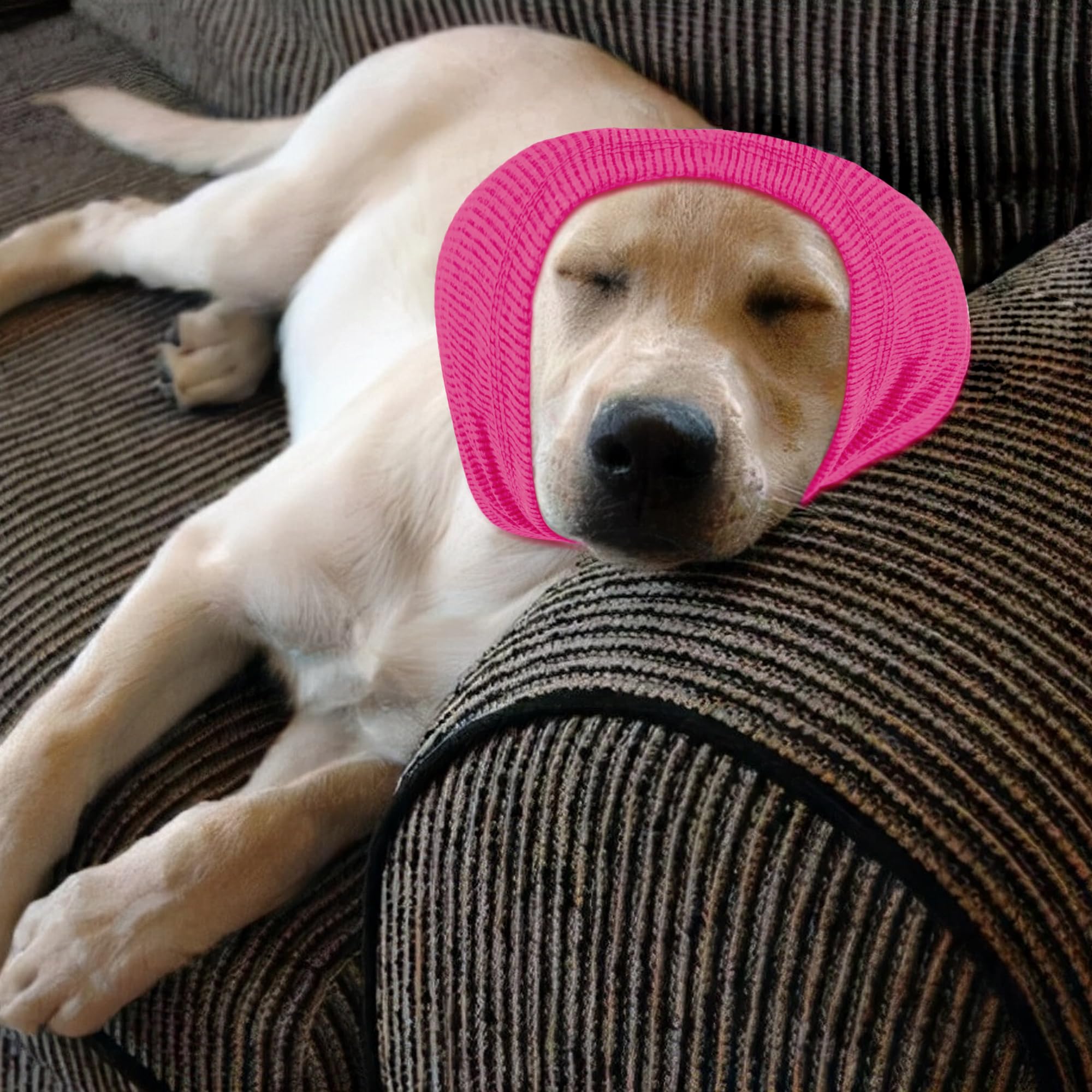 Rbenxia Dog Ear Muffs for Winter - Noise Protection & Warmth, Adjustable Pet Ear Warmers Scarf (Rose Red, Medium) - Perfect for Outdoor Walks, Cold Weather & Noise-Sensitive Dogs