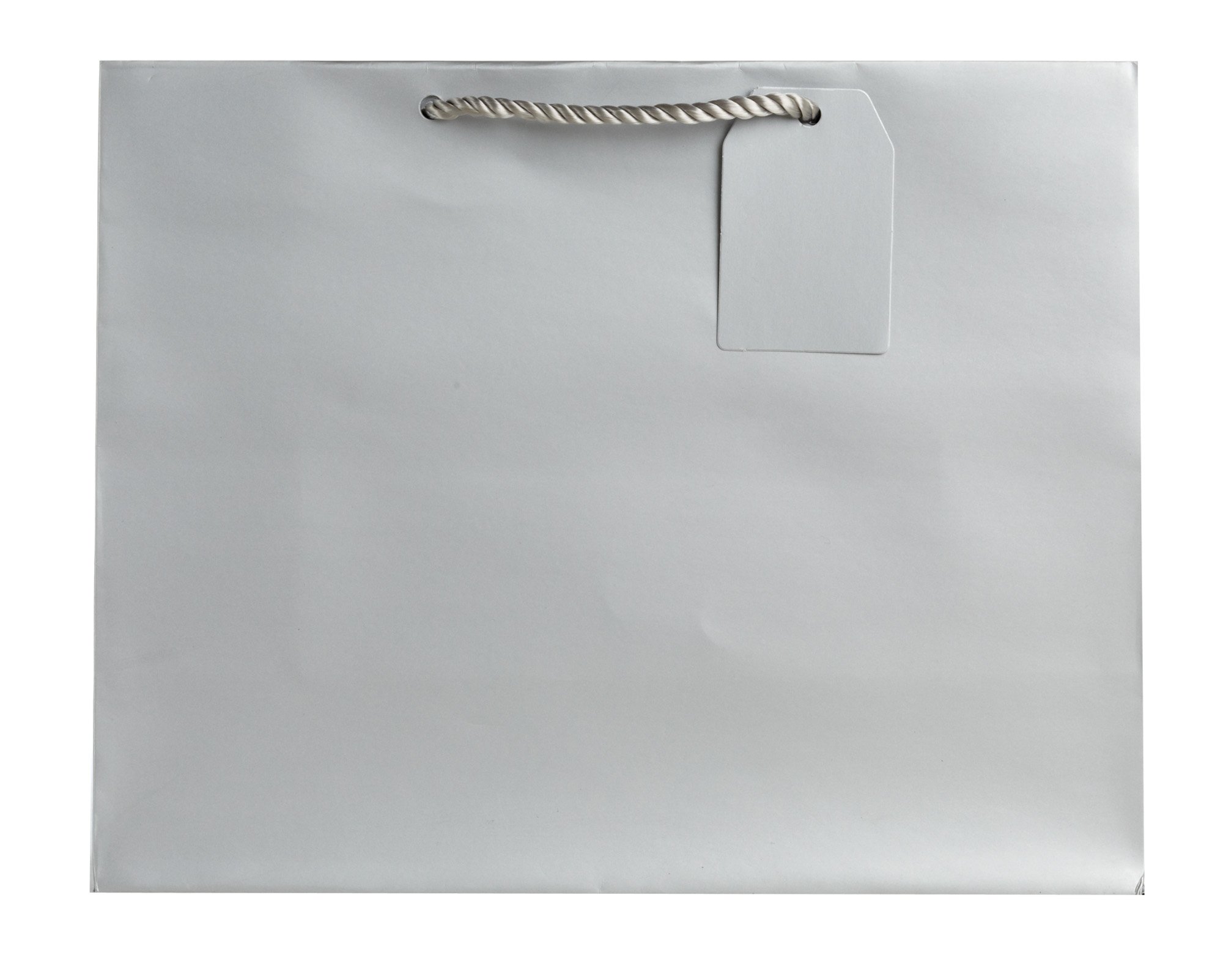 Jillson Roberts Bulk Large Gift Bags - 14 Colors Including Silver Matte - 120 Count (BLT914) - Perfect for Birthday, Wedding, Baby Shower & Holiday Gift Wrapping