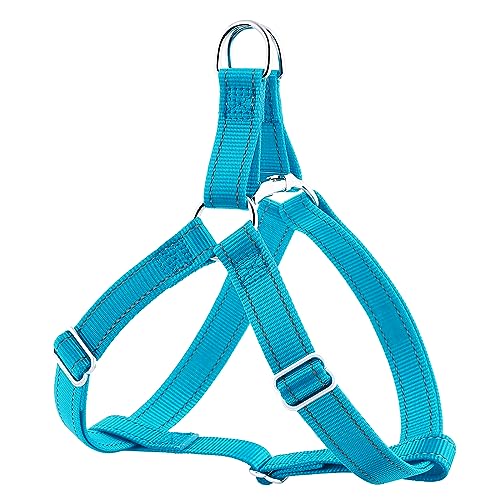 Cyan