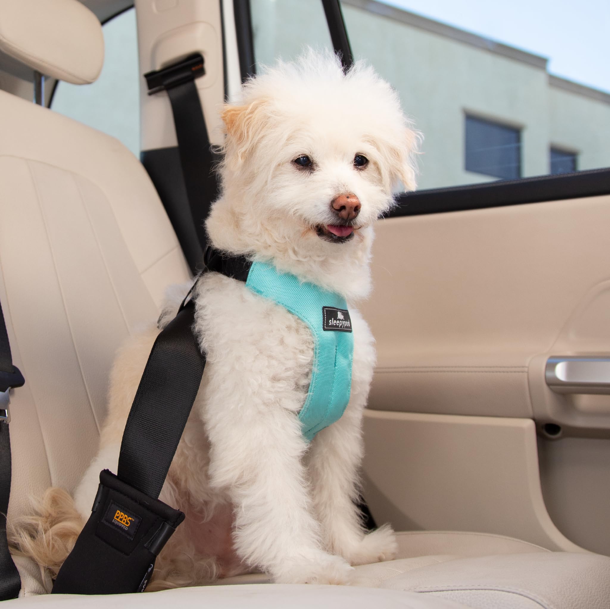 Clickit Sport Plus - Crash-Tested & Safety Certified Dog Car Seat Belt Harness for Small Dogs (Robin Egg Blue) - Secure Pet Travel for Cars, SUVs & Road Trips