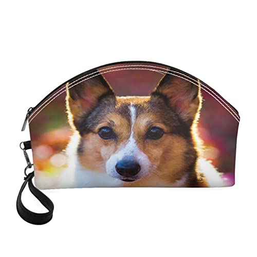 3d Corgi 2