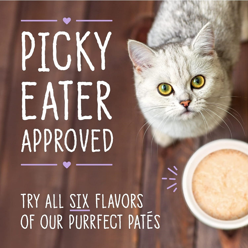 Premium Grain-Free Wet Cat Food - Carnivore Cravings Adult Tuna & Pumpkin Recipe | 100% Complete Balanced Diet for Cats | Perfect for Indoor Cats & Picky Eaters