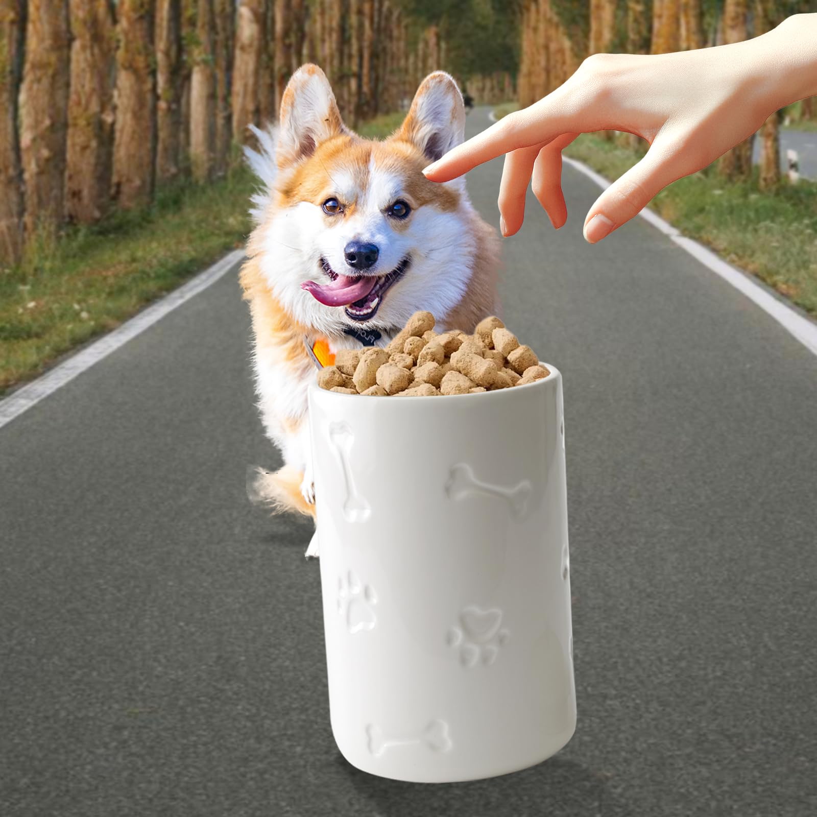 Airtight Ceramic Dog Treat Jar - 9