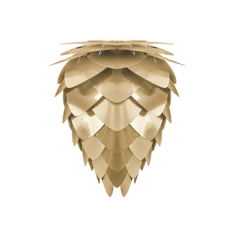 Brushed Brass