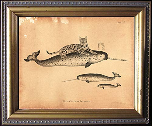 Vintage Bengal Cat Riding Narwhal Collage Art Print - Semi-Matte Tea Stained Wall Decor - Unique Dog Lover Gift for Her, Dog Mom Present - Perfect for Living Room, Bedroom or Office Decoration
