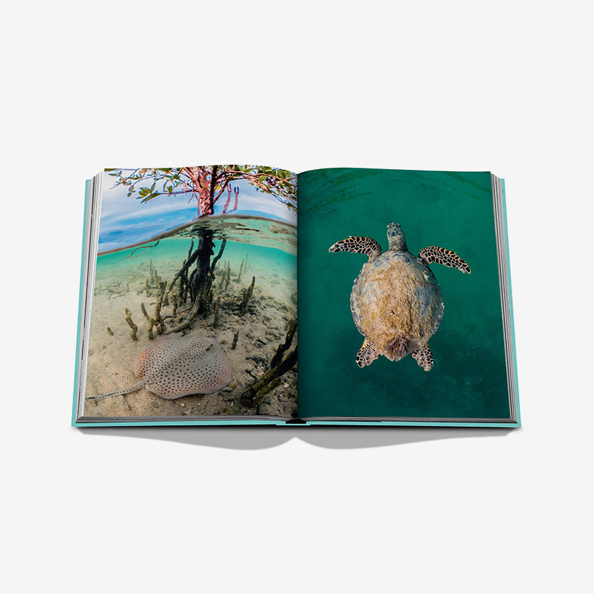 Assouline Red Sea: The Saudi Coast - Luxury Coffee Table Book | Stunning Photography & Travel Inspiration for Home Decor & Gifts