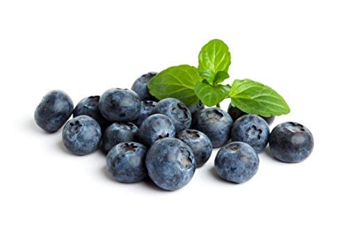 Organic Frozen Blueberries by Northwest Wild Foods - 9 lbs of Fresh, Antioxidant-Rich Superfruit for Smoothies, Baking, Jams & Healthy Snacks - Perfect for Breakfast Bowls, Desserts & Meal Prep